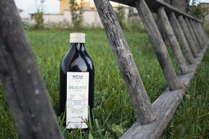 produzione olio evo extravergine dop