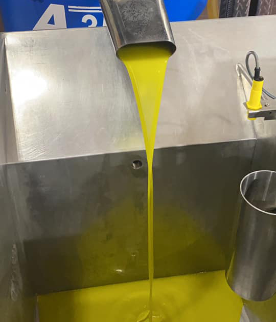 estrazione dell'olio