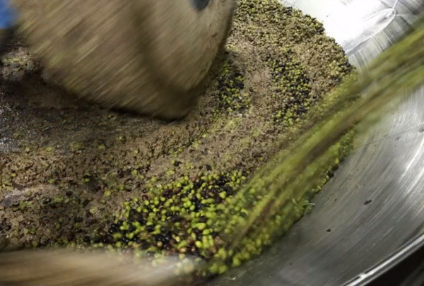 molitura delle olive