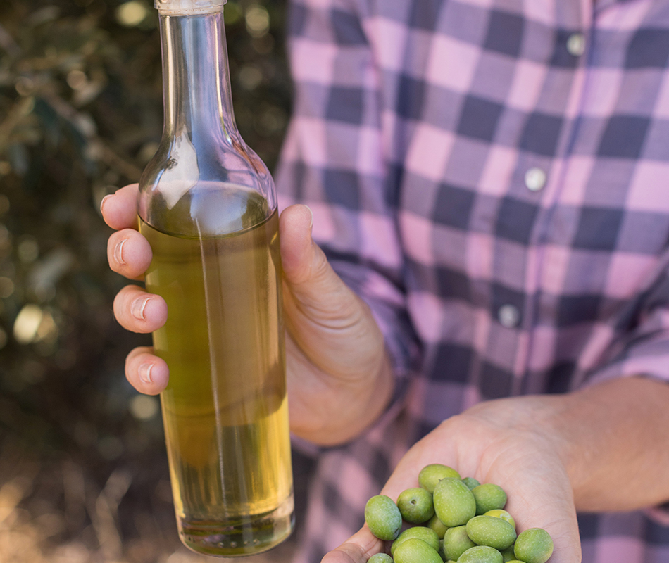 conservazione dell'olio